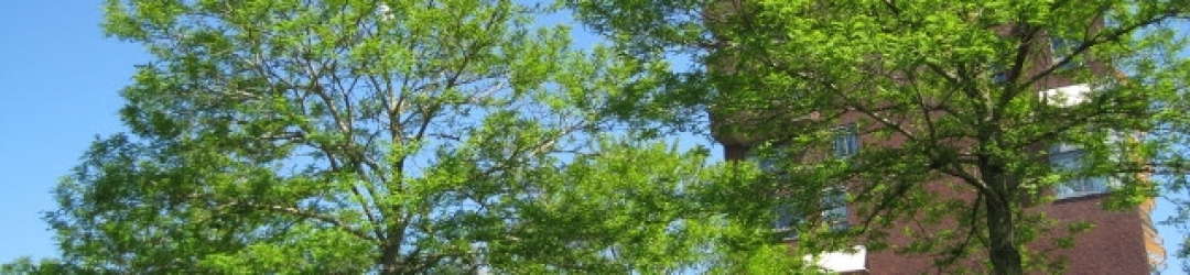 Smaragdfoto2 (640×480)